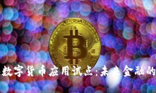 探索上海数字货币应用试点：未来金融的生态变革