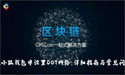如何在小狐钱包中设置DOT网络：详细指南与常见问题解答