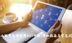 如何在小狐钱包中设置DOT网络：详细指南与常见