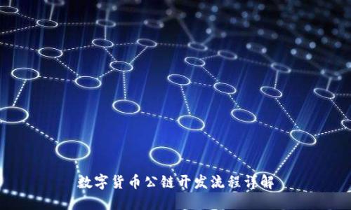 数字货币公链开发流程详解