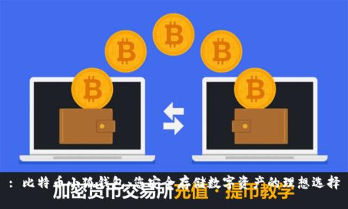 : 比特币小狐钱包：您安全存储数字资产的理想选择