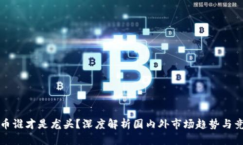 数字货币谁才是龙头？深度解析国内外市场趋势与竞争格局