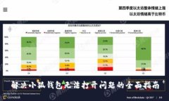 解决小狐钱包无法打开问题的全面指南
