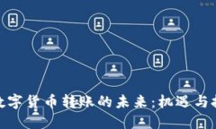 : 数字货币转账的未来：机遇与挑战