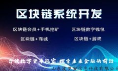  台湾数字货币玩家：探索未来金融的前沿