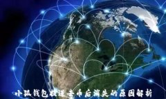 小狐钱包提进去币后消失的原因解析