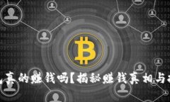 小狐钱包真的赚钱吗？揭秘赚钱真相与投资风险