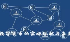 苏州数字货币的实施现状与未来展望