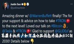 苹果手机用户如何在小狐钱包中添加BSC链
