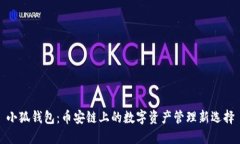 小狐钱包：币安链上的数字资产管理新选择