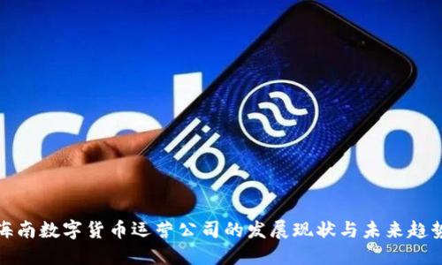 海南数字货币运营公司的发展现状与未来趋势