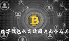 探索狐狸数字钱包的高清图片大全及其功能分析
