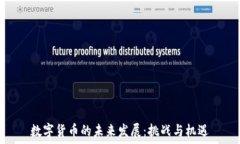   数字货币的未来发展：挑战与机遇