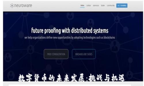   
数字货币的未来发展：挑战与机遇