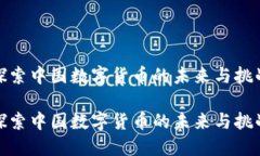 探索中国数字货币的未来与挑战探索中国数字货
