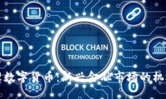 如何代理数字货币：新兴金融市场的机遇与挑战