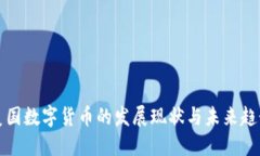 美国数字货币的发展现状与未来趋势