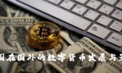 中国在国外的数字货币发展与影响