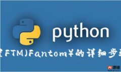 小狐钱包配置FTM（Fantom）的详细步骤与注意事项