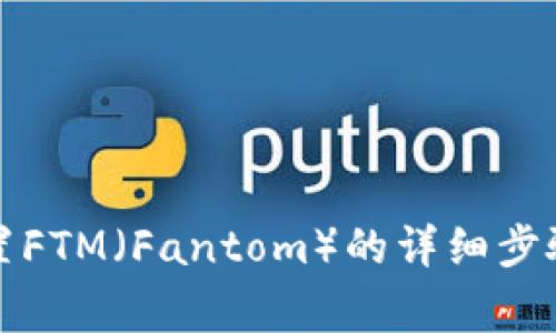 小狐钱包配置FTM（Fantom）的详细步骤与注意事项