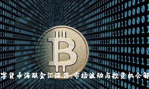 数字货币海联金汇涨停：市场波动与投资机会解析
