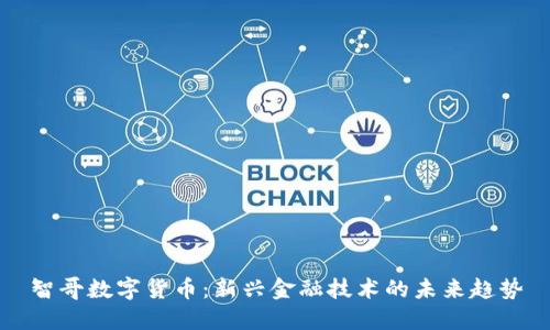 智哥数字货币：新兴金融技术的未来趋势