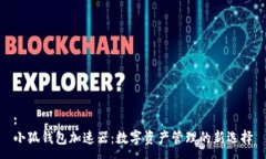 :小狐钱包加速器：数字资产管理的新选择
