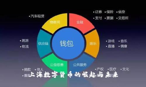 上海数字货币的崛起与未来