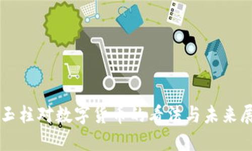 史玉柱对数字货币的看法与未来展望