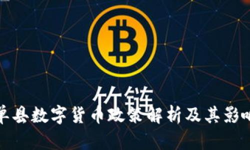 单县数字货币政策解析及其影响