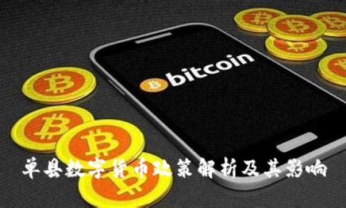 单县数字货币政策解析及其影响